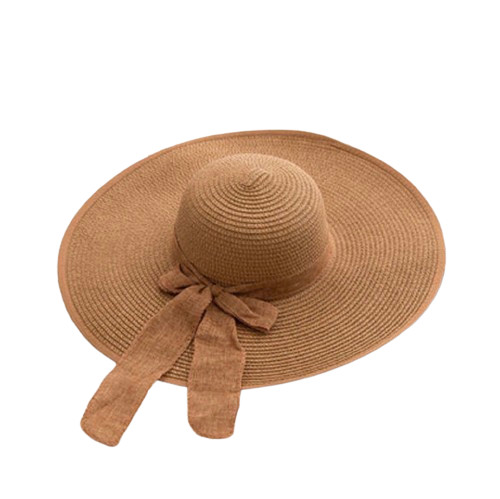 Brown Hat with Bow